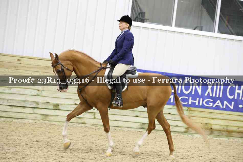 Proof Number 23R13_03416