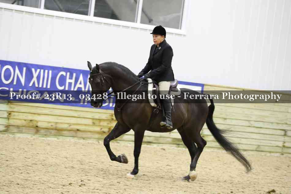 Proof Number 23R13_03428