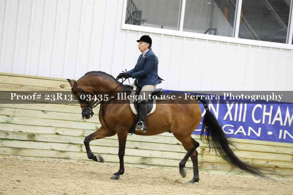 Proof Number 23R13_03435
