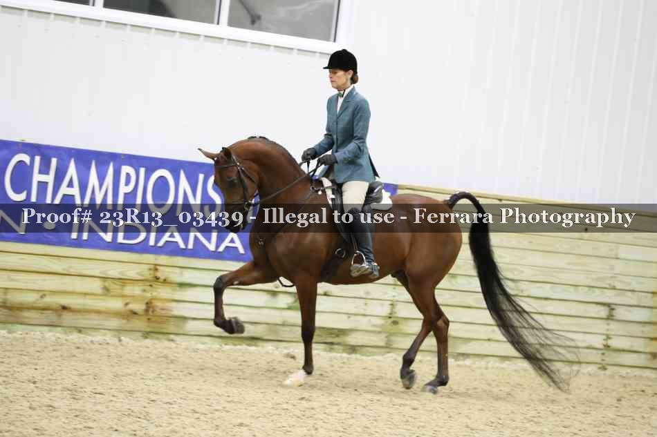 Proof Number 23R13_03439