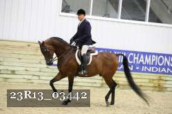 23R13_03442 thumbnail