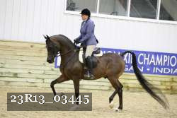 23R13_03445 thumbnail