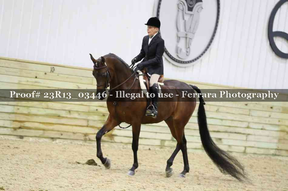 Proof Number 23R13_03446