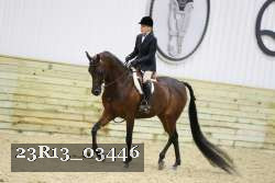 23R13_03446 thumbnail