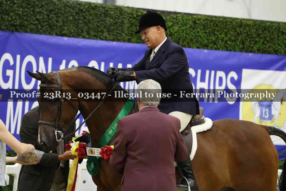 Proof Number 23R13_03447