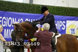 23R13_03449 thumbnail