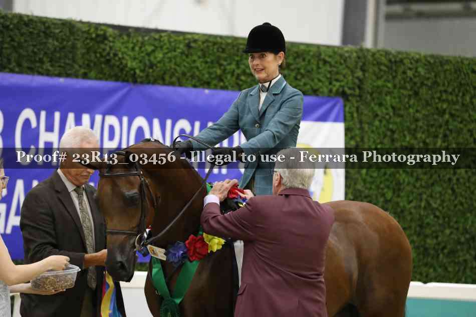 Proof Number 23R13_03456