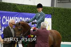 23R13_03456 thumbnail