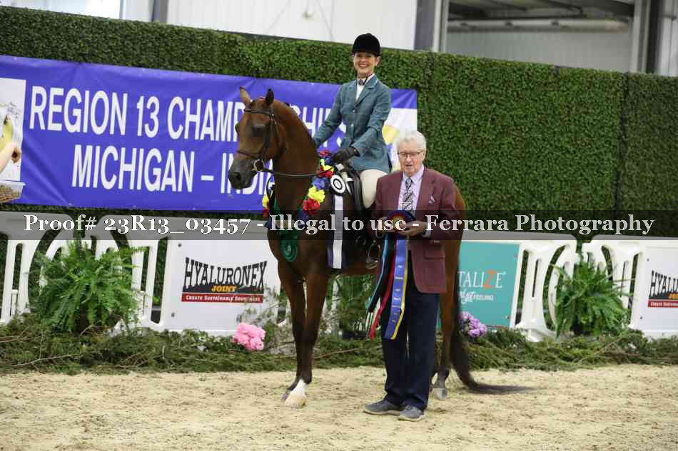 Proof Number 23R13_03457