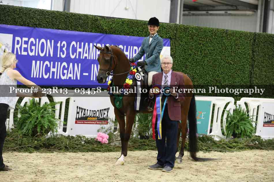 Proof Number 23R13_03458