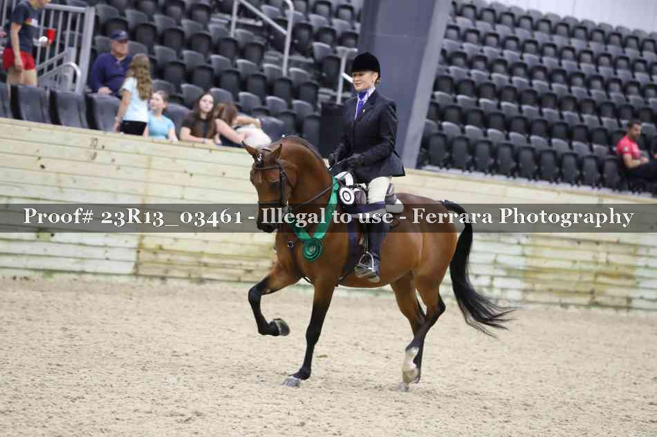 Proof Number 23R13_03461