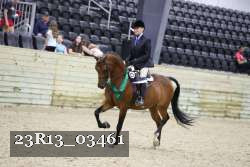 23R13_03461 thumbnail
