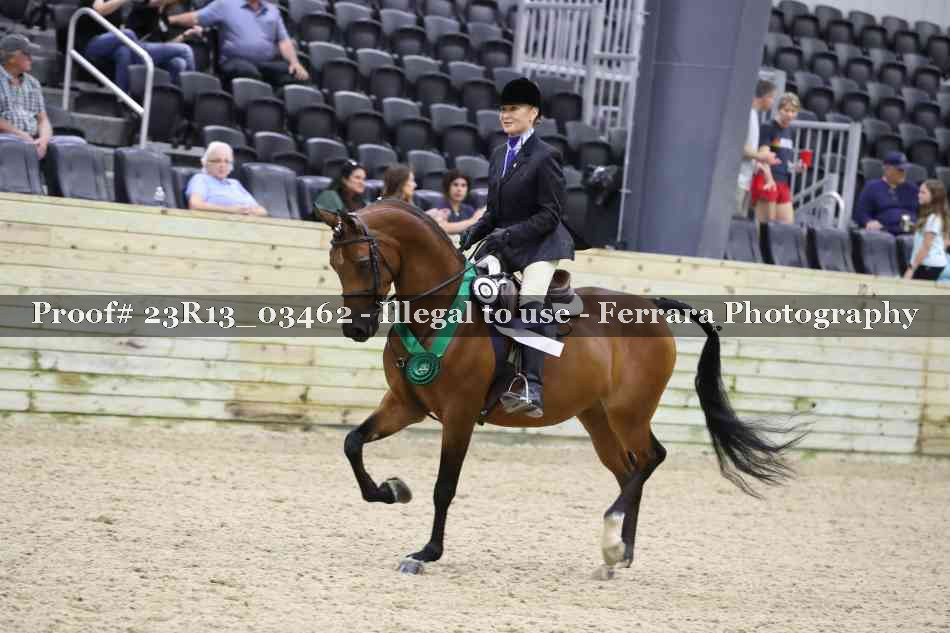 Proof Number 23R13_03462