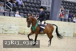 23R13_03462 thumbnail