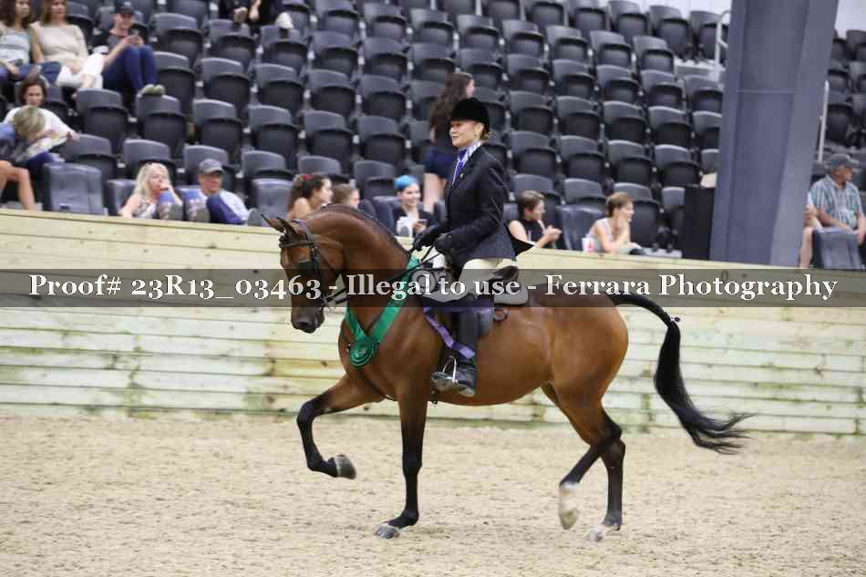 Proof Number 23R13_03463