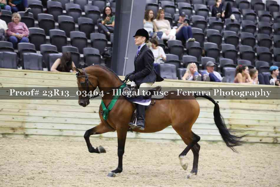 Proof Number 23R13_03464