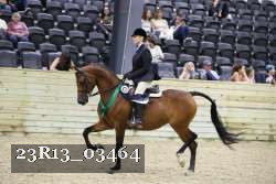23R13_03464 thumbnail