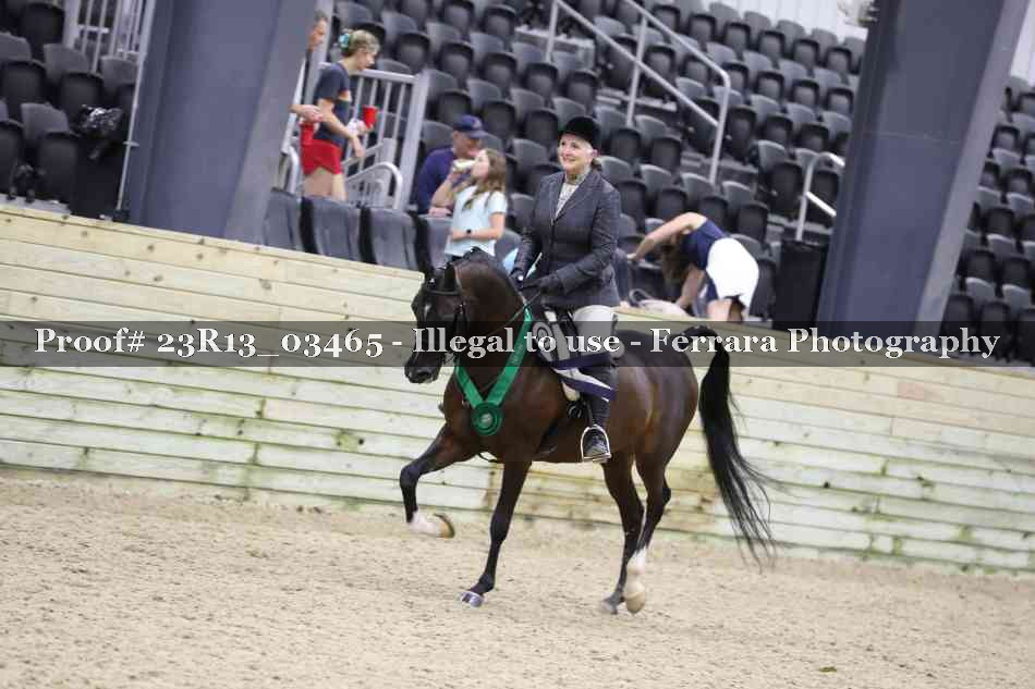 Proof Number 23R13_03465