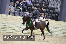 23R13_03466 thumbnail