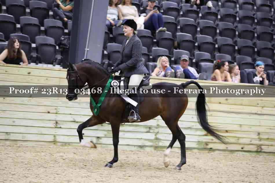 Proof Number 23R13_03468