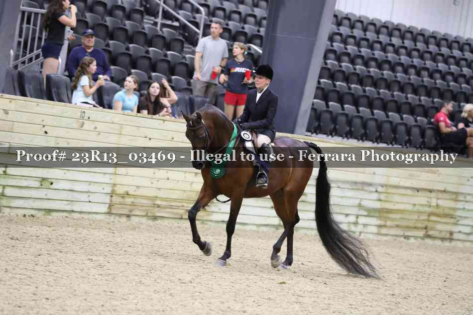 Proof Number 23R13_03469