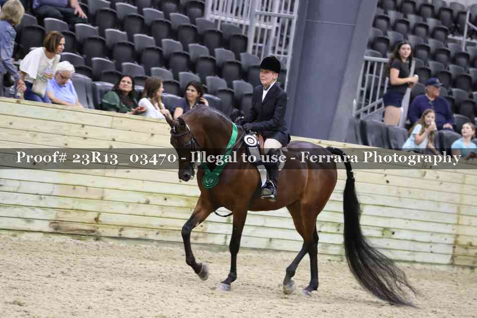 Proof Number 23R13_03470