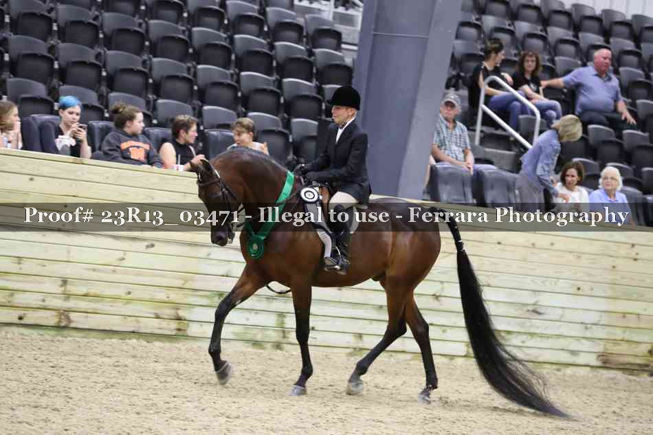 Proof Number 23R13_03471