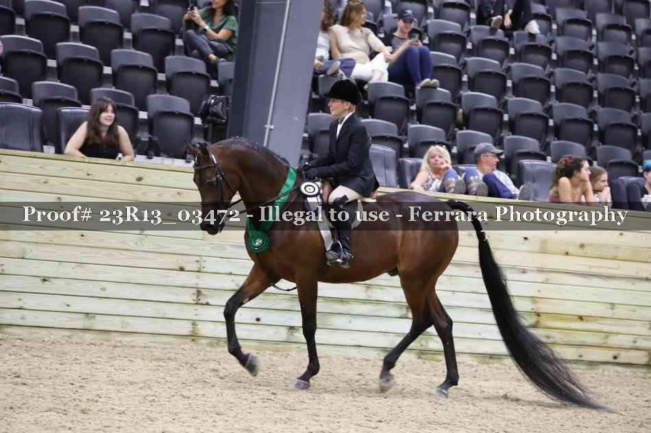 Proof Number 23R13_03472