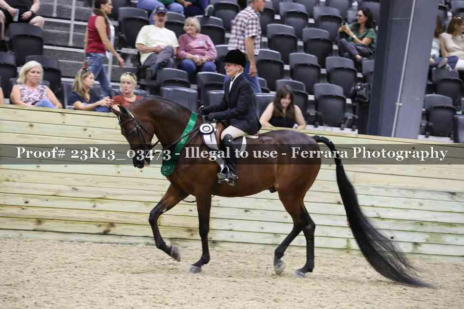 Proof Number 23R13_03473