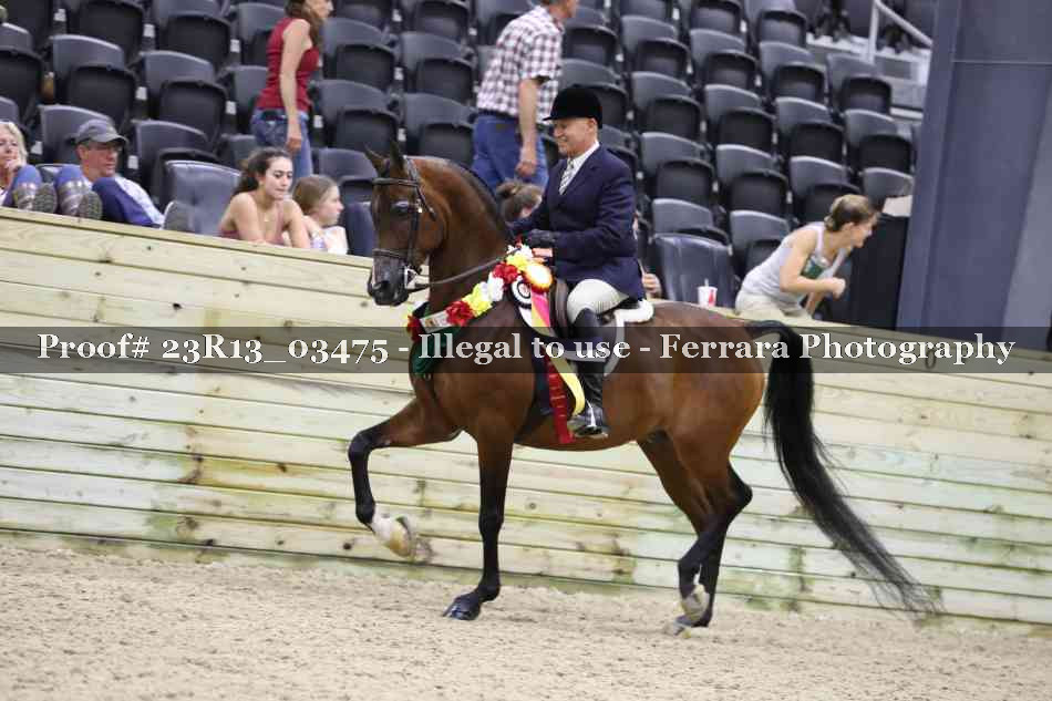 Proof Number 23R13_03475