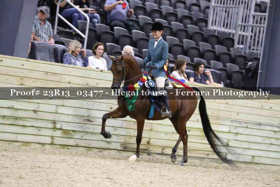 Proof Number 23R13_03477