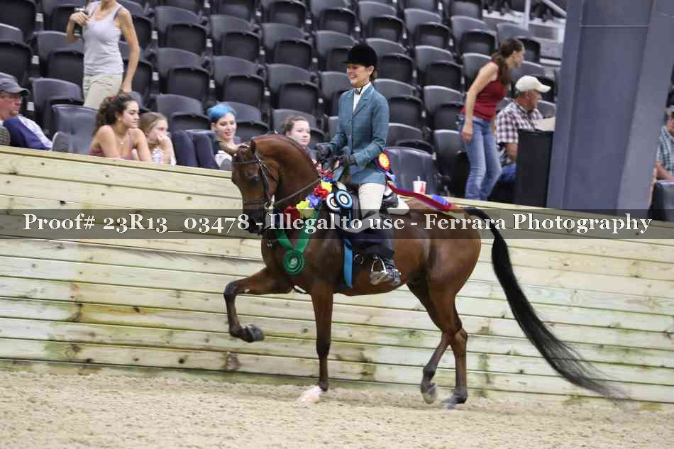 Proof Number 23R13_03478