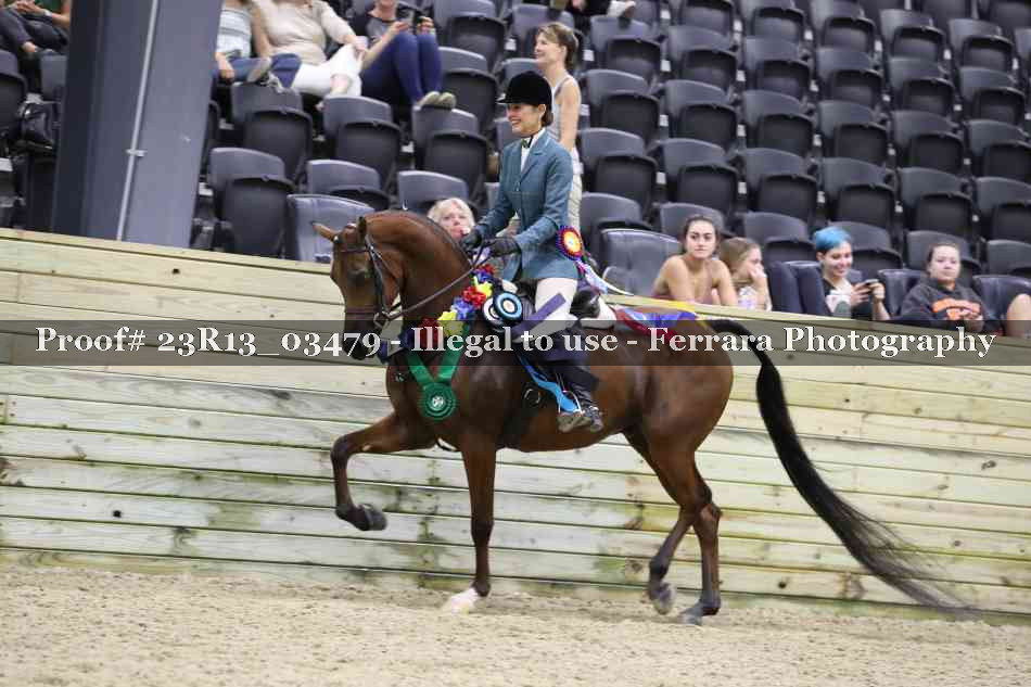 Proof Number 23R13_03479