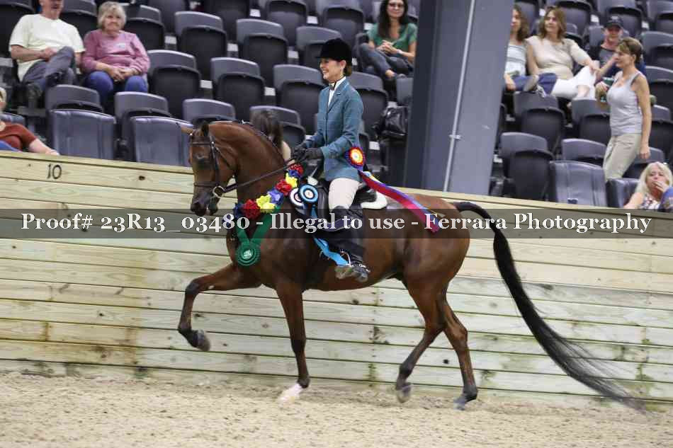 Proof Number 23R13_03480