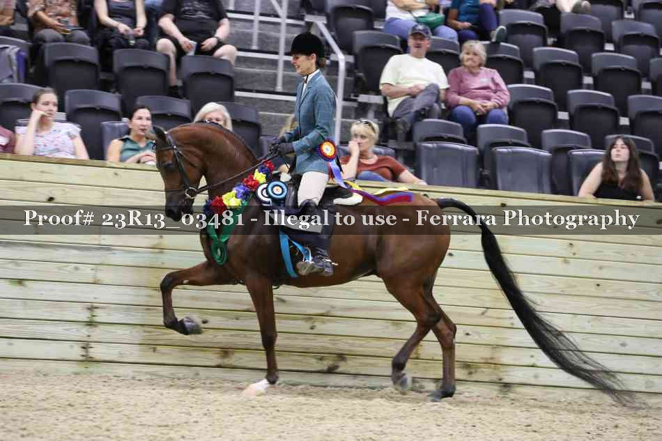 Proof Number 23R13_03481