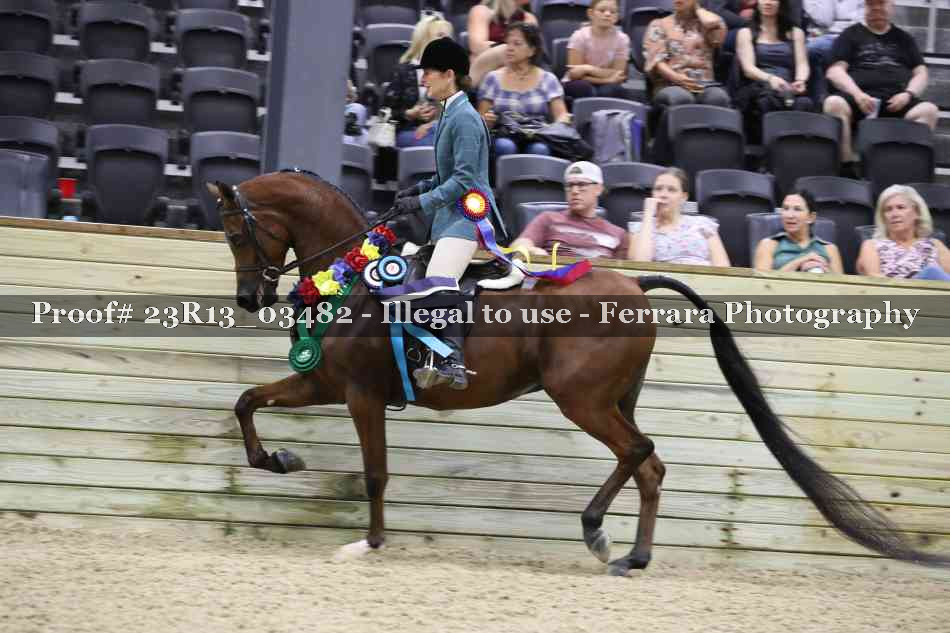 Proof Number 23R13_03482