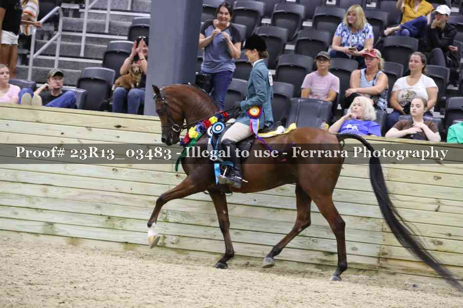 Proof Number 23R13_03483