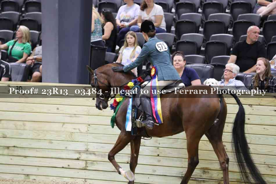 Proof Number 23R13_03484