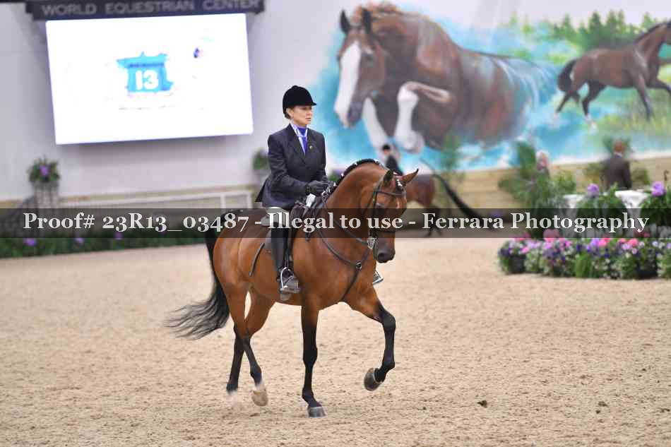 Proof Number 23R13_03487