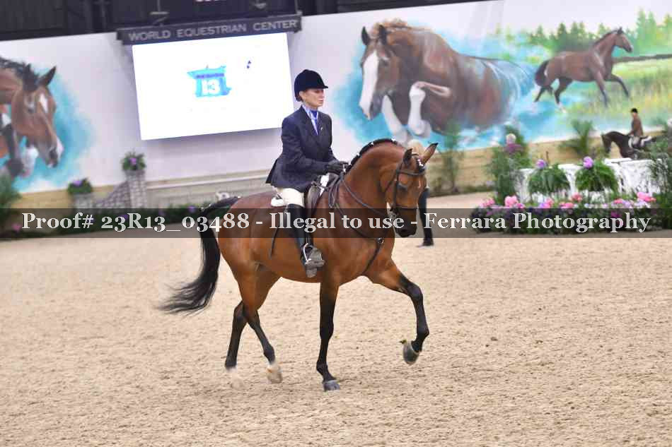 Proof Number 23R13_03488