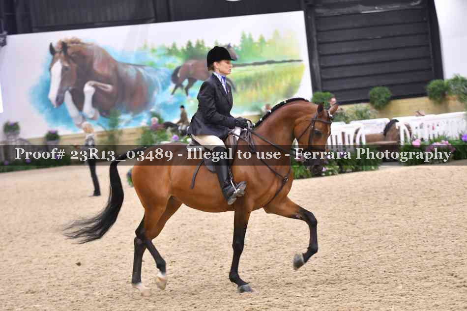 Proof Number 23R13_03489