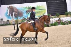 23R13_03489 thumbnail