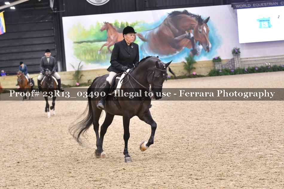Proof Number 23R13_03490