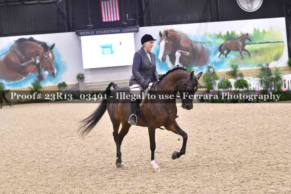 Proof Number 23R13_03491