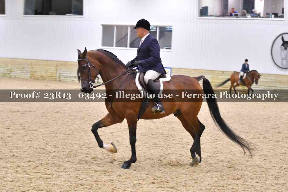 Proof Number 23R13_03492