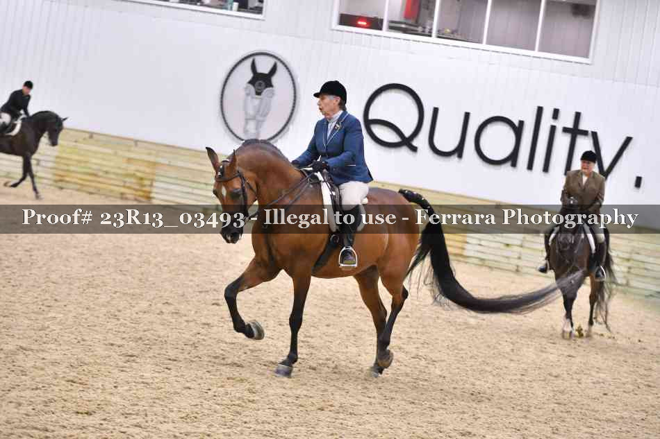 Proof Number 23R13_03493