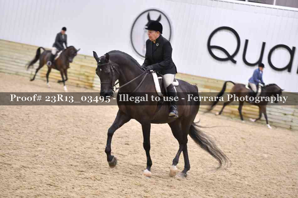 Proof Number 23R13_03495