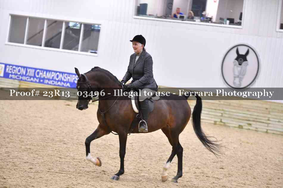 Proof Number 23R13_03496