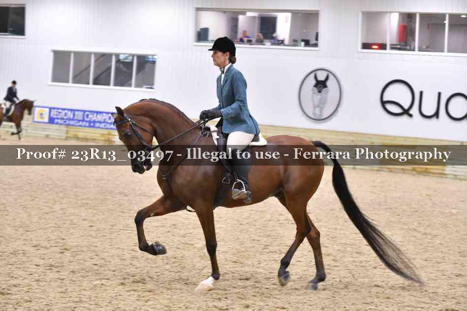 Proof Number 23R13_03497