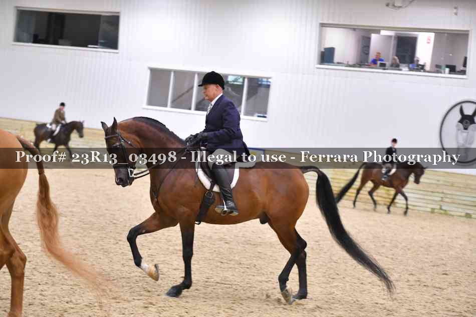 Proof Number 23R13_03498